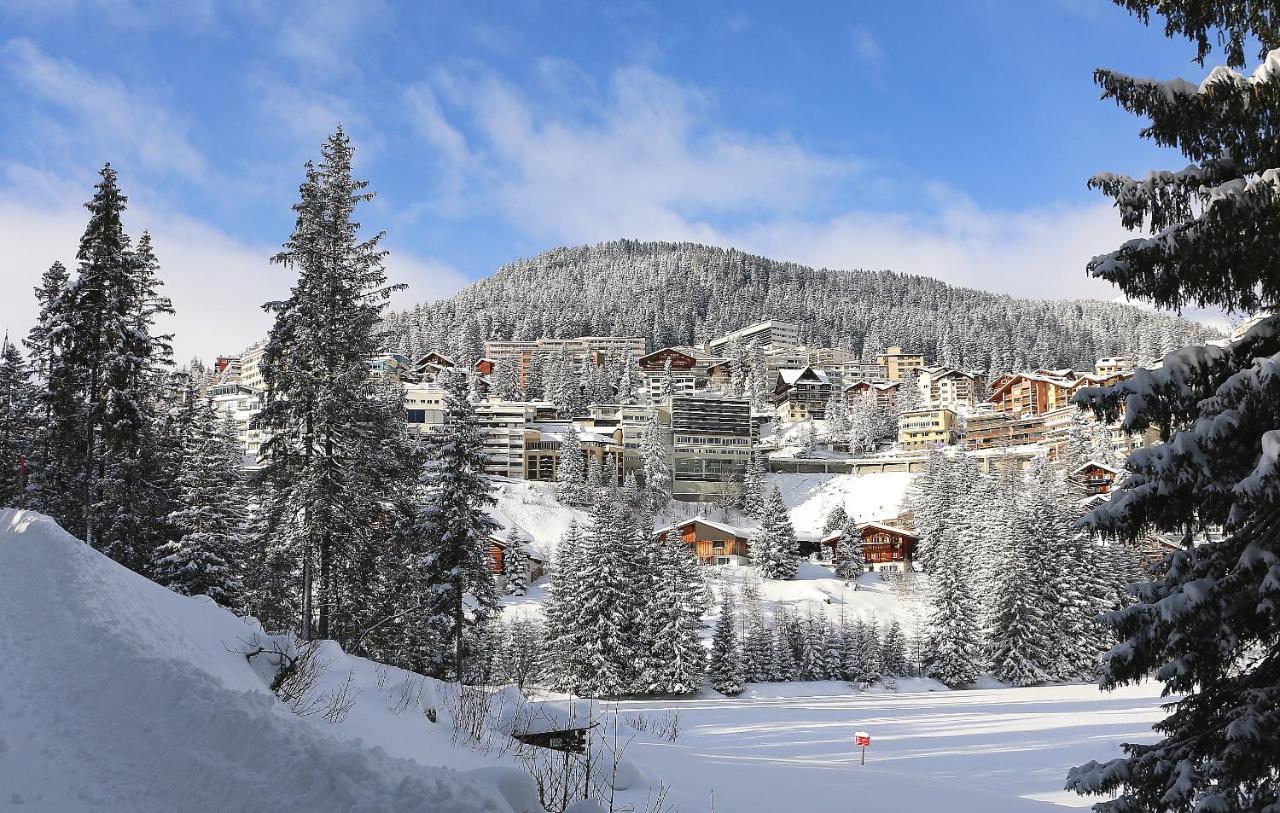 Cristallo Arosa